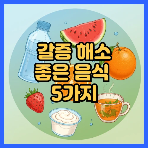 갈증해소좋은음식5가지