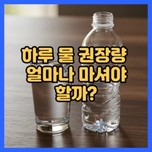 하루 물 권장량